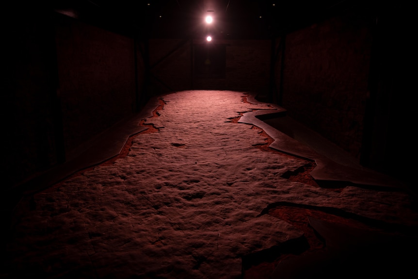 A light illuminates a fossil bed.