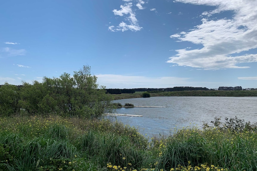 The edge of a dam filled with water, near green shrubs and under a blue sky.