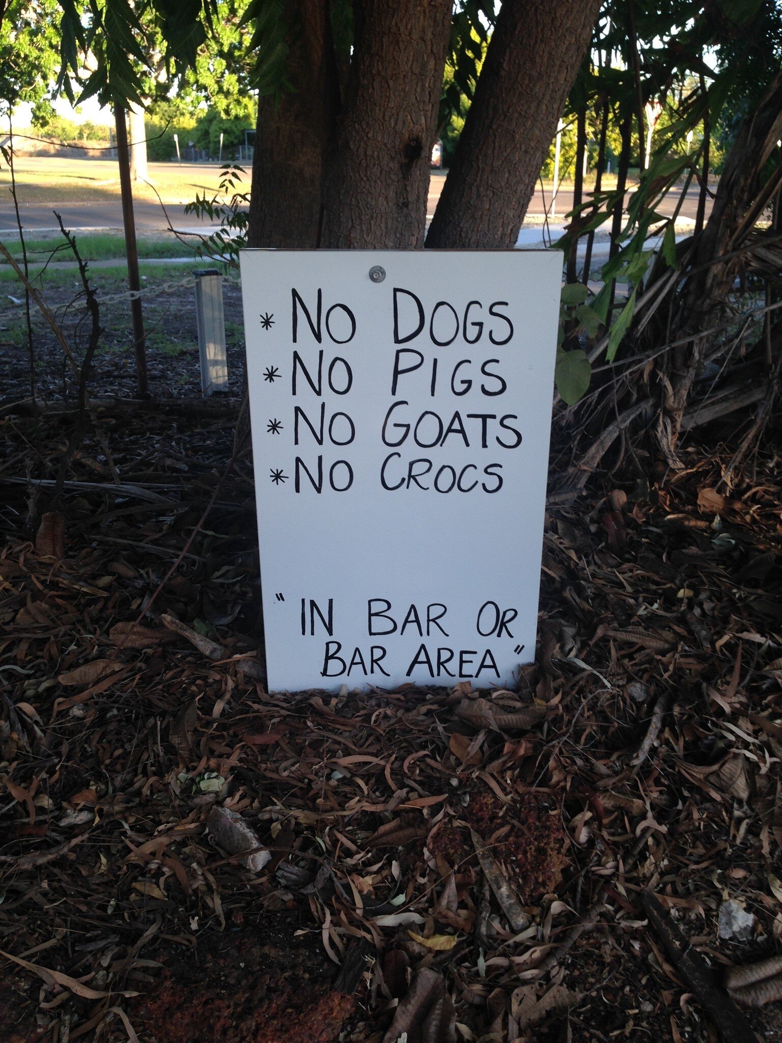 Handwritten sign resting on a tree trunk. Sign reads "No dogs, no pigs, no goats, no crocs - in bar or bar area"