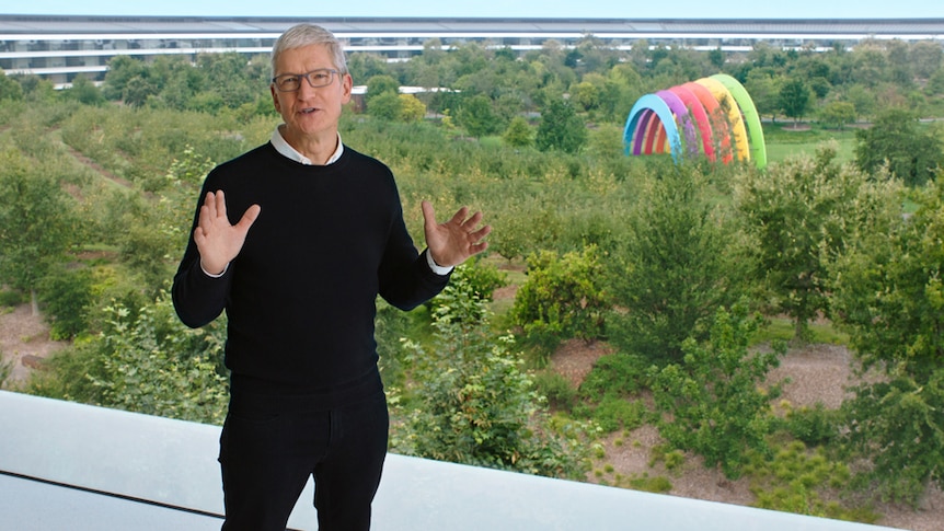 Tim Cook stands in front of a window showing a green garden