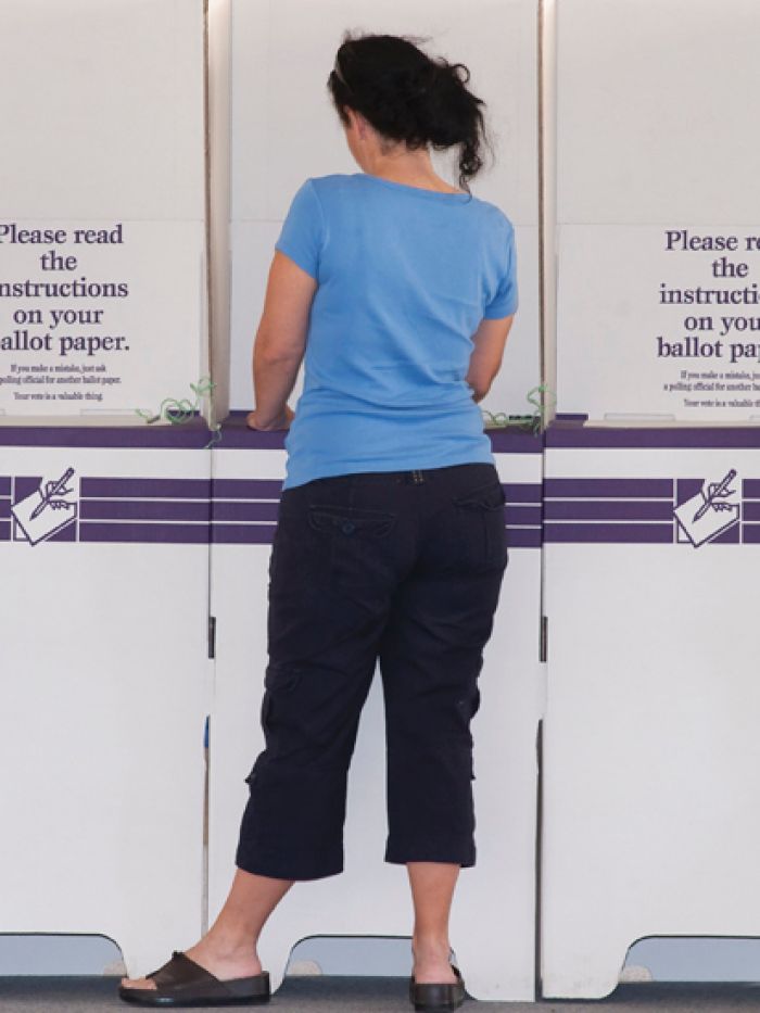 Election experts raise concerns over Senate ballot counting system ...