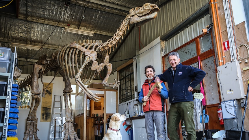 Proud preparators Ewin Wood and Peter Swinkels with their finished Muttaburrasaurus skeleton in Castlemaine.