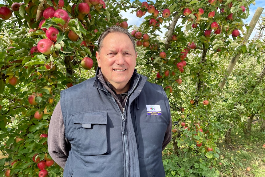 A man standing with apple trees in the background.