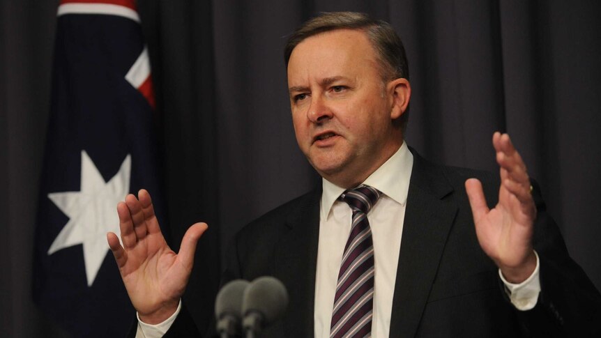 Albanese speaks during Canberra press conference