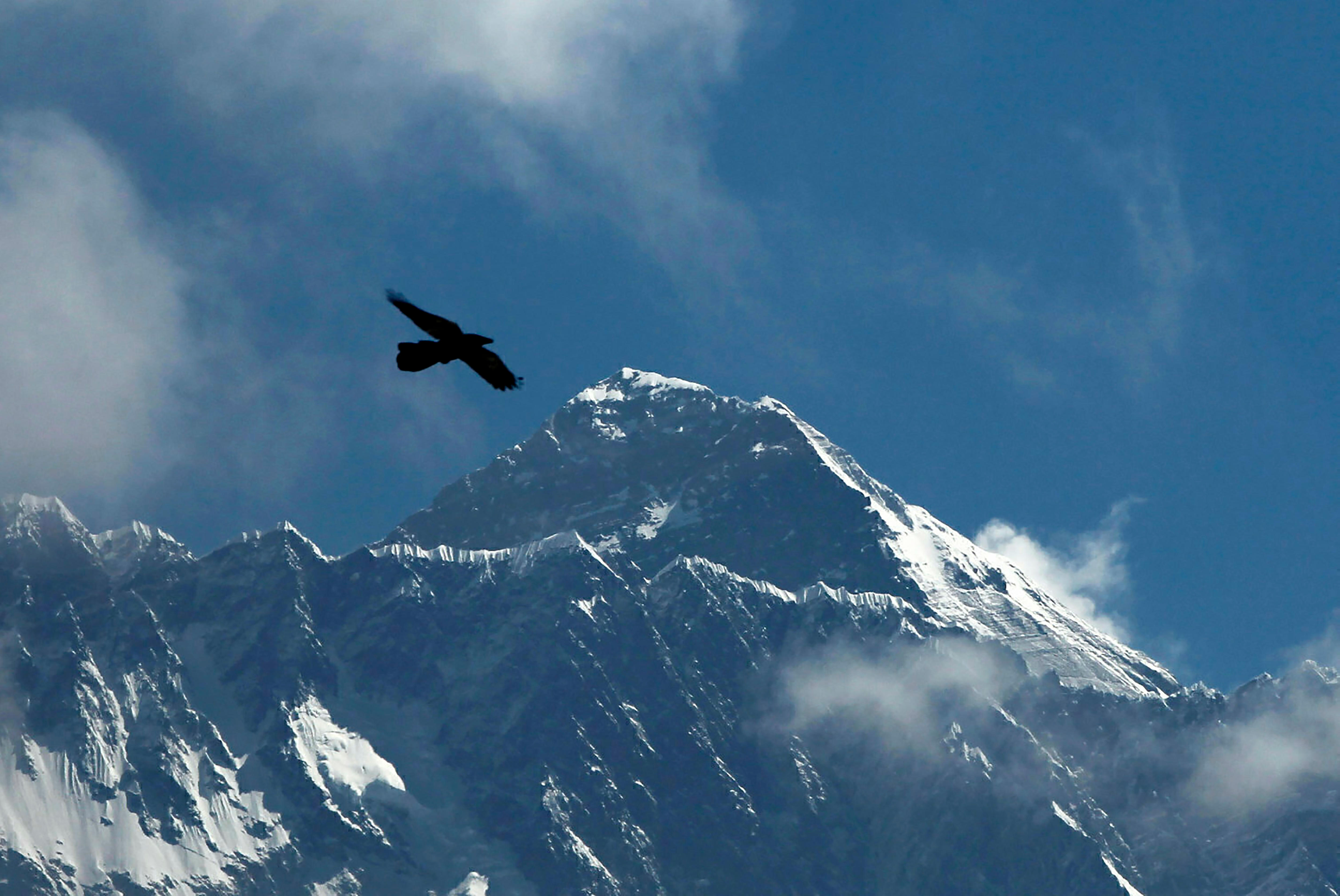 A bird flies over a mountain.