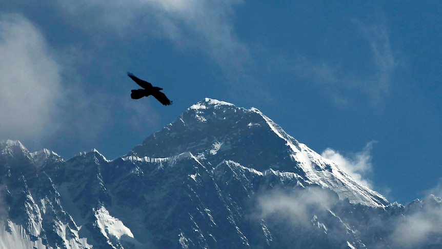 A bird flies over a mountain.