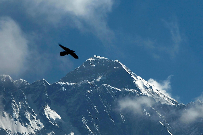 A bird flies over a mountain.