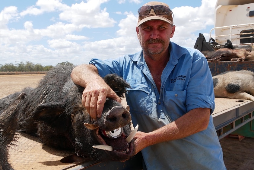 Ian Pedracini leans against a semi trailer and hold the snout of a dead wild boar.