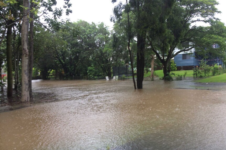 Flooded suburban Murwillumbah.