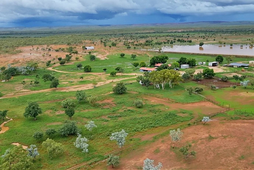 Vast green outback landscape after rain