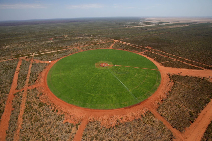 An aerial shows a lush green circle of irrigated farm land, surrounded by arid dust and outback trees