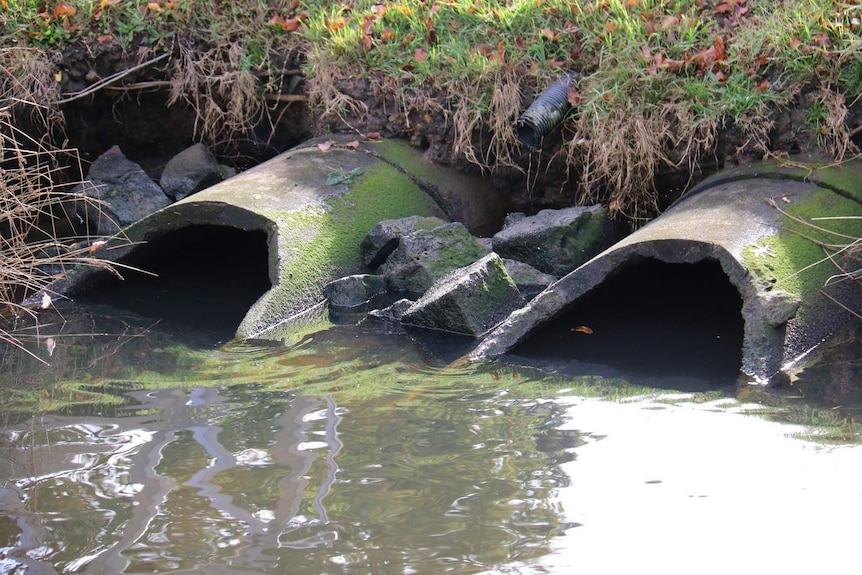 Photo of two storm water drains in the Yarra River in Melbourne