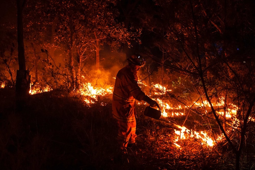 RFS volunteer uses drip torch during back-burning operation (Photo: John Donegan)