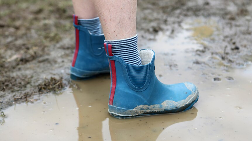 Blue gumboots with red stripe in the mud.