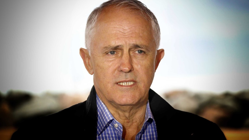 Malcolm Turnbull addresses media