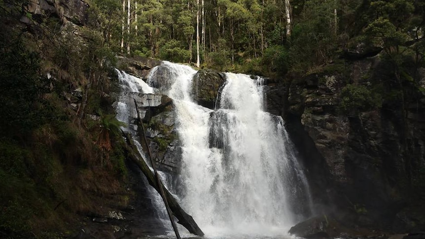 Steavenson's Falls in Victoria