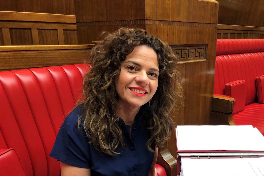 South Australian SA Best MP Connie Bonaros in SA Parliament's Upper House.