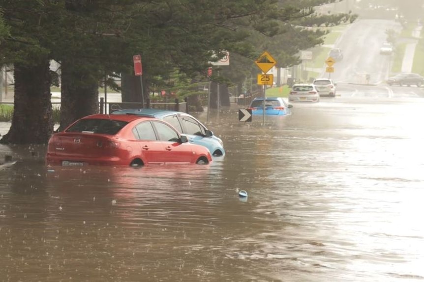 Intense thunderstorm causes havoc on roads across the Illawarra and in the Royal National Park south of Sydney.