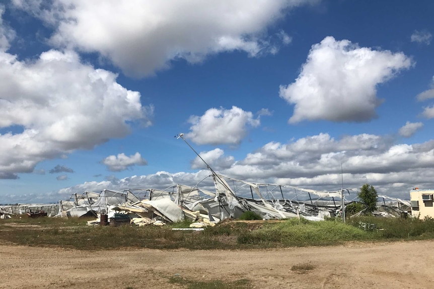 Crumpled Glasshouse structure on the ground