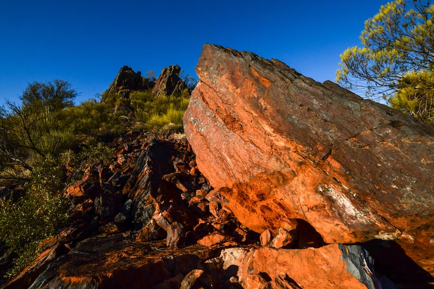 Red coloured rock in a bush landscape, forming part of a ridge.  