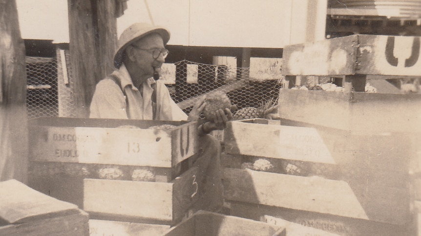 old black and white photo of man sat next to wooden boxes filled with pineapples