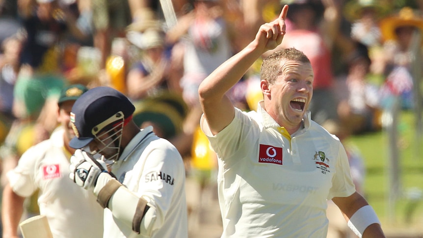 Wicket man: Australian fast bowler Peter Siddle sends Virender Sehwag on his way late on day two.