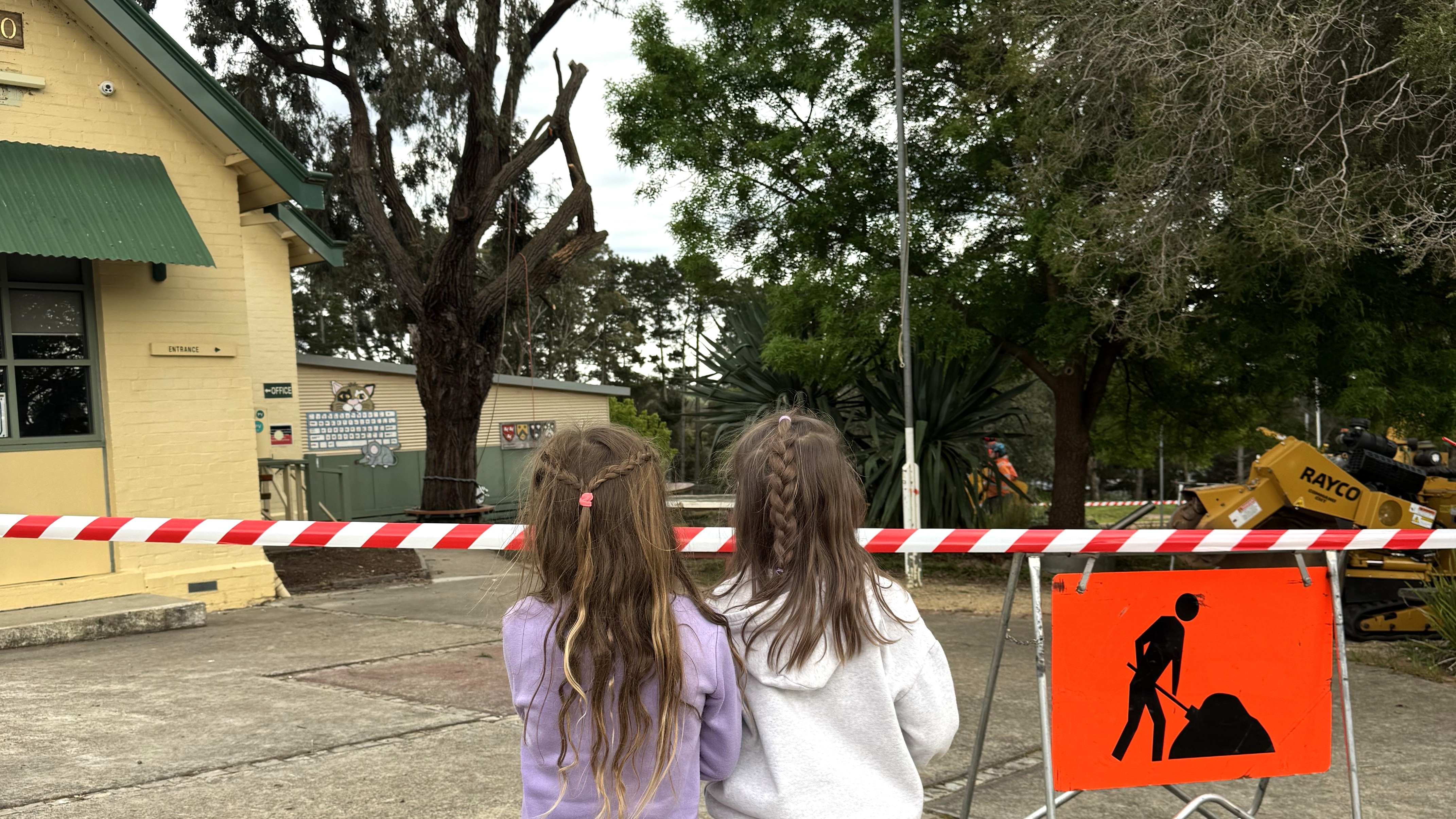 Parents outraged as trees chopped down at central Victorian schools