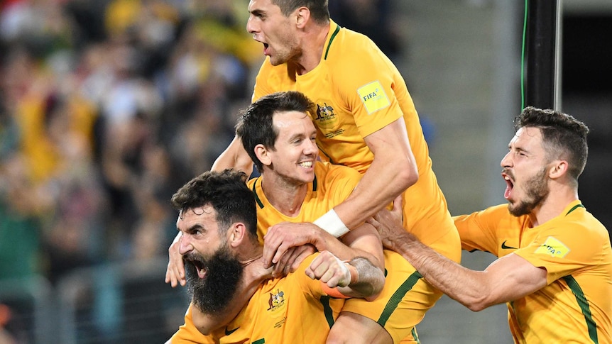 Mile Jedinak celebrates goal for Socceroos against Honduras