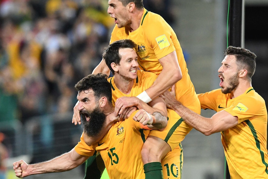 Mile Jedinak celebrates goal for Socceroos against Honduras