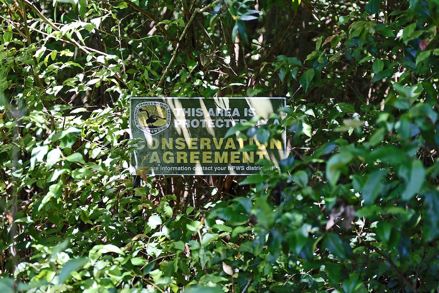 Conservation agreement sign at Crystal Hill surrounded by leaves