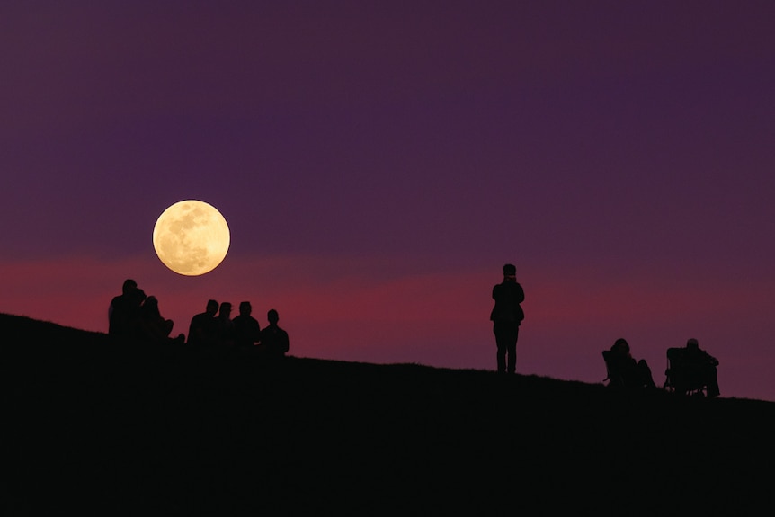 Silhouettes of people watching a full moon on a hill.