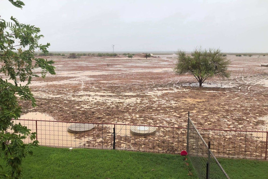 A red muddy paddock is soaked with puddles adjacent to a lush green lawn