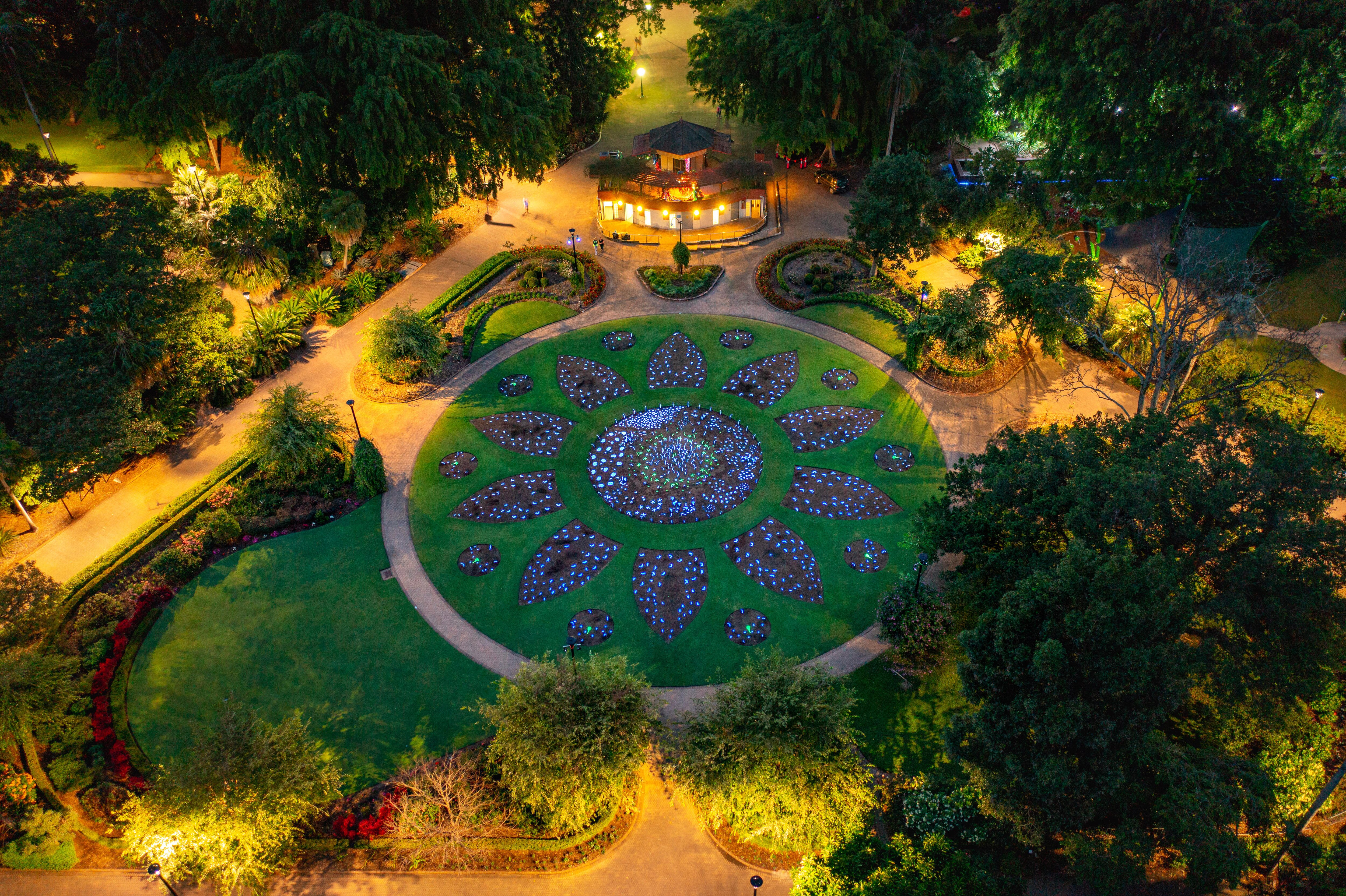 Outdoor public art festival adds light and art to natural wonders in Brisbane botanic gardens