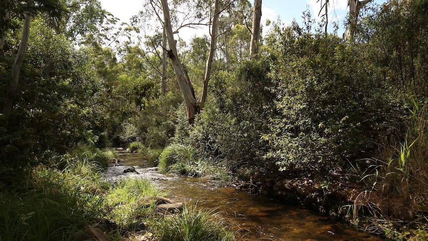 A river in the Snowy Mountains