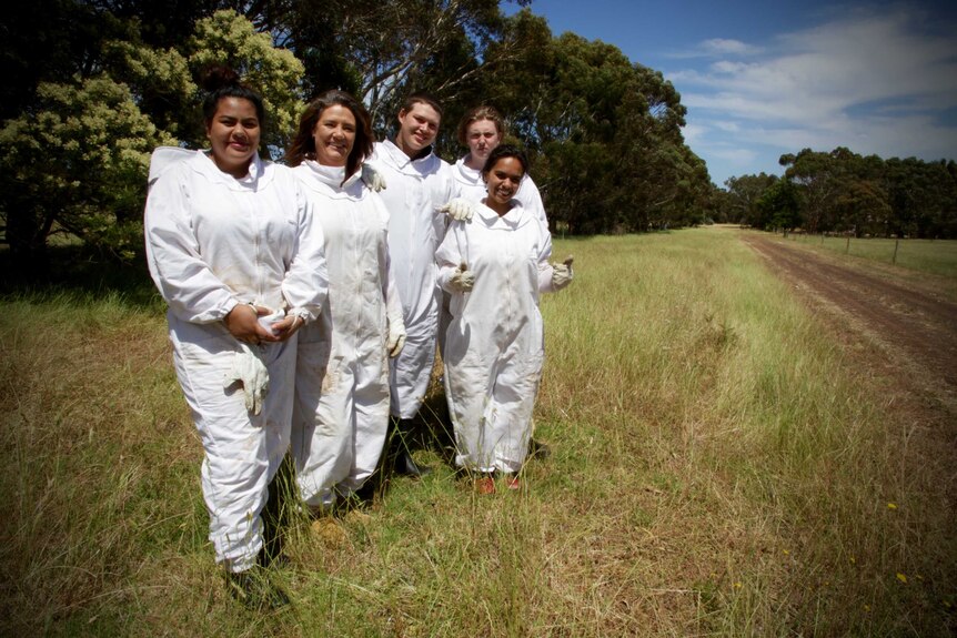 Beekeeping is used to bring young people to the workforce