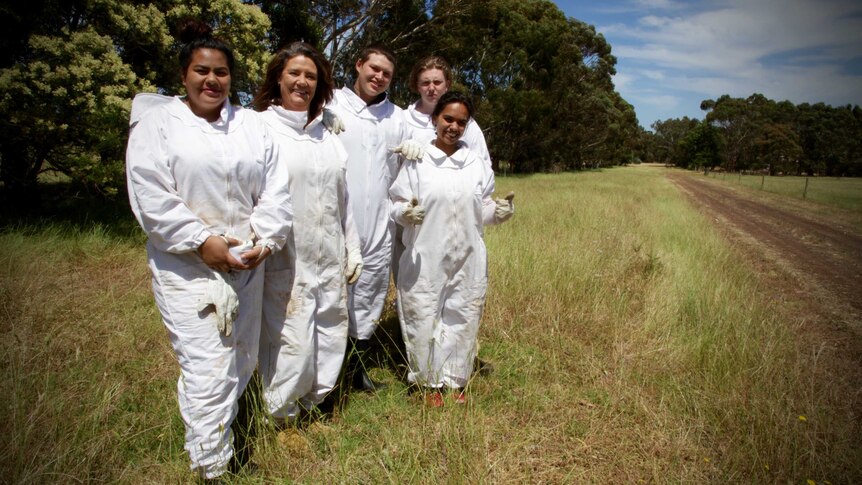 Job seekers learn to become bee keepers at Young Harvest in Albany, WA