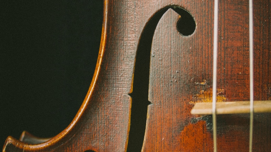 A closeup view of the body of a violin.