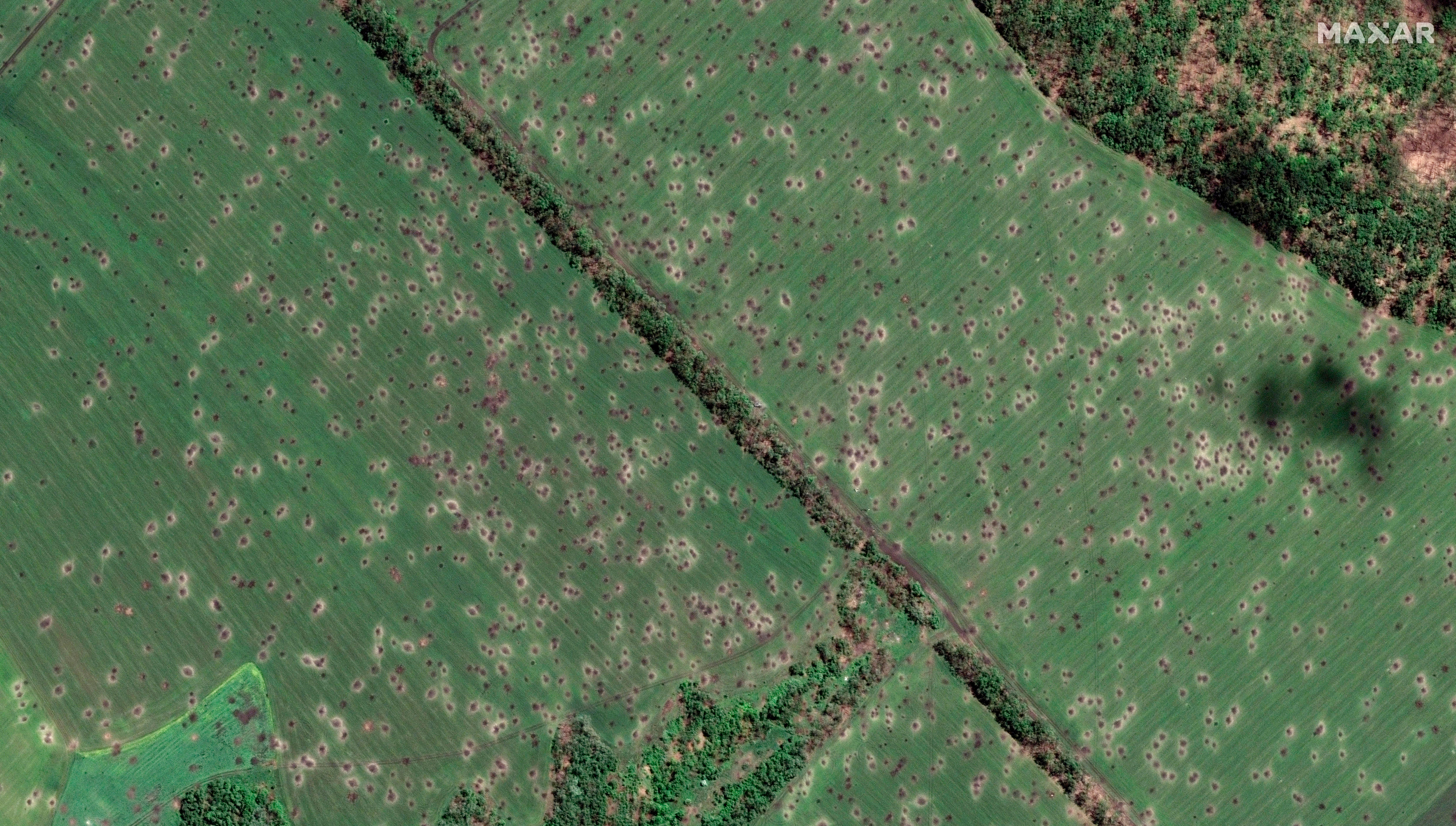 A satellite image of a green field covered in craters. 