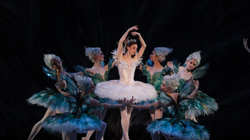 Dressed in a white tutu, Lana Jones performs with dancers in David McAllister's The Sleeping Beauty at the Sydney Opera House.