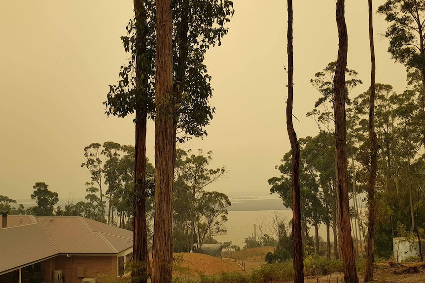 Smoke in the Cygnet area from Tasmanian bushfires, January 2019