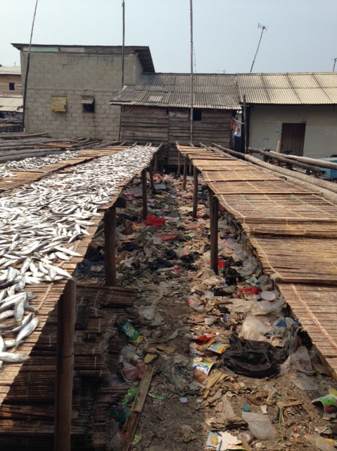Rubbish at a slum where fish are dried in Jakarta.