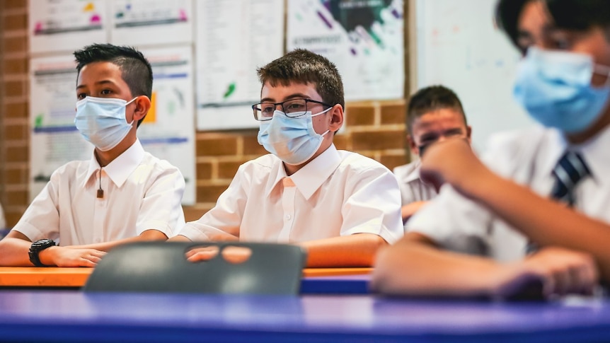 Three boys wearing face masks sit at school desks