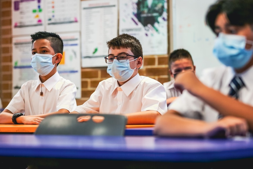 Three boys wearing face masks sit at school desks