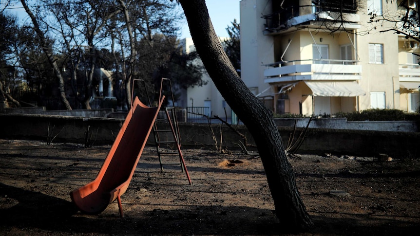 An orange slide and a tree blackened by fire in a burned-out playground with fire-damaged buildings in the background
