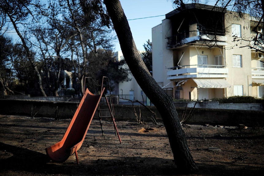 An orange slide and a tree blackened by fire in a burned-out playground with fire-damaged buildings in the background