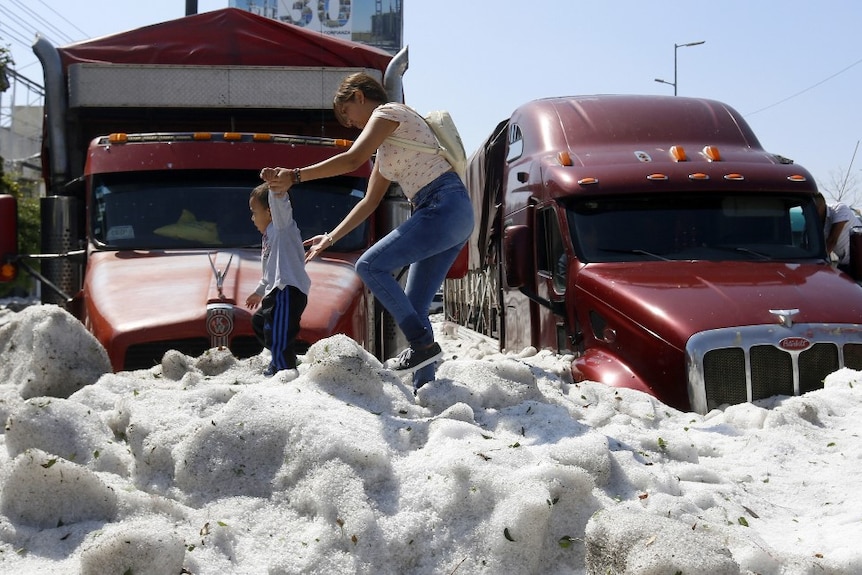 Two red trucks are buried up to the top of their wheels by white hail. A woman holds a child's hand as they walk past.
