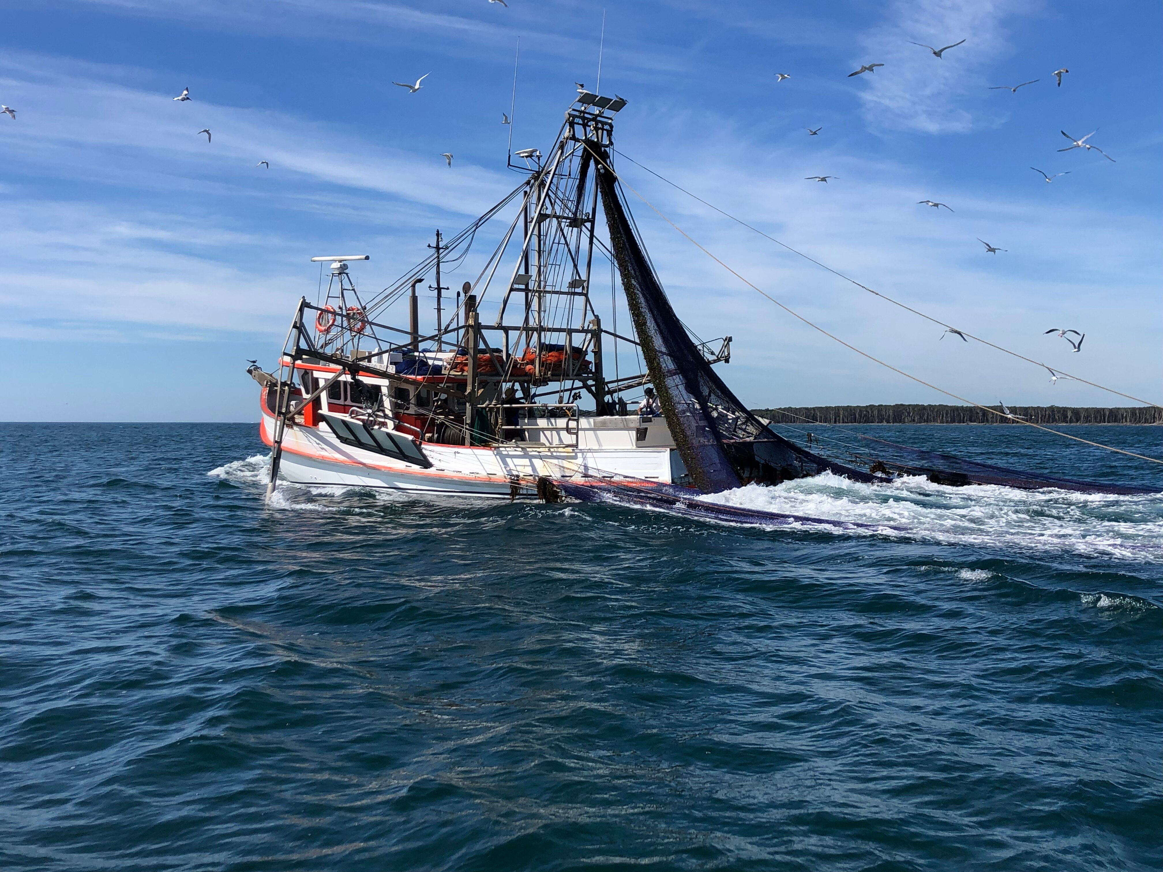 NSW fisheries officers demand stabproof vests and capsicum spray in