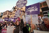Supporters of the bill campaigning outside NSW State Parliament.