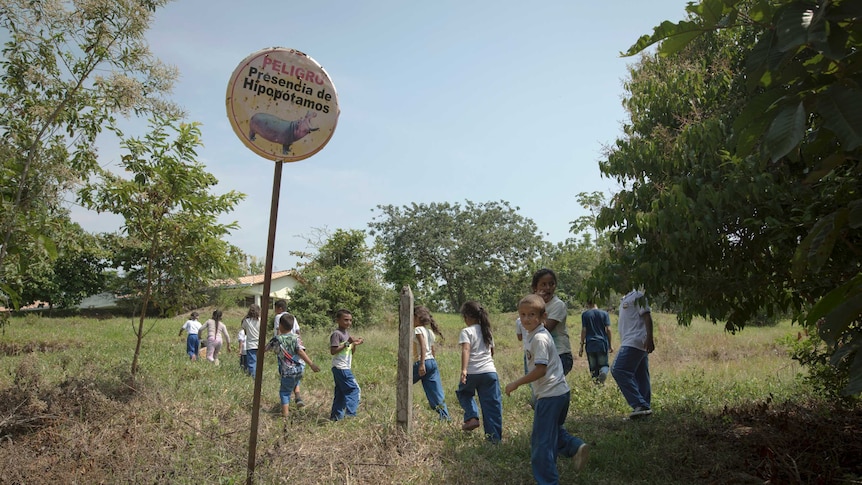 Children walk past a sign warning about the dfangers of hippos in the area, in Colombia.