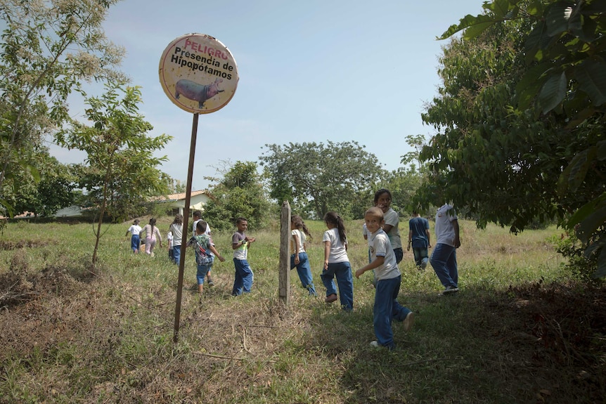 Children walk past a sign warning about the dfangers of hippos in the area, in Colombia.